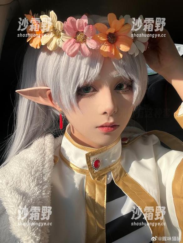 腥味猫罐的半妖庭师，无圣光也有这种套图风味？